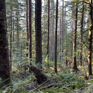 Meet your Posher, Rebeca